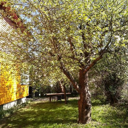Renovated Semi- Basement 2 Bedrooms Furnished Apartment - Close To Everything In Moss Kültér fotó